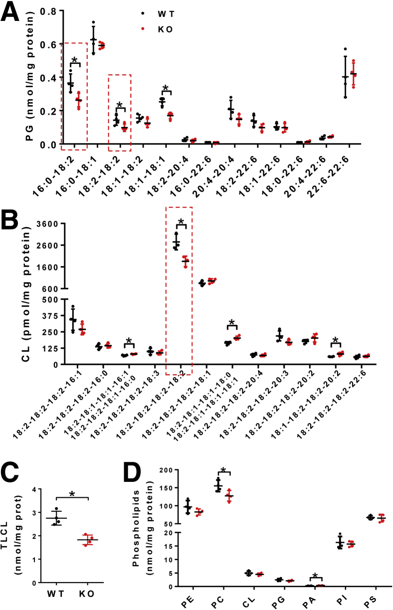 Figure 12