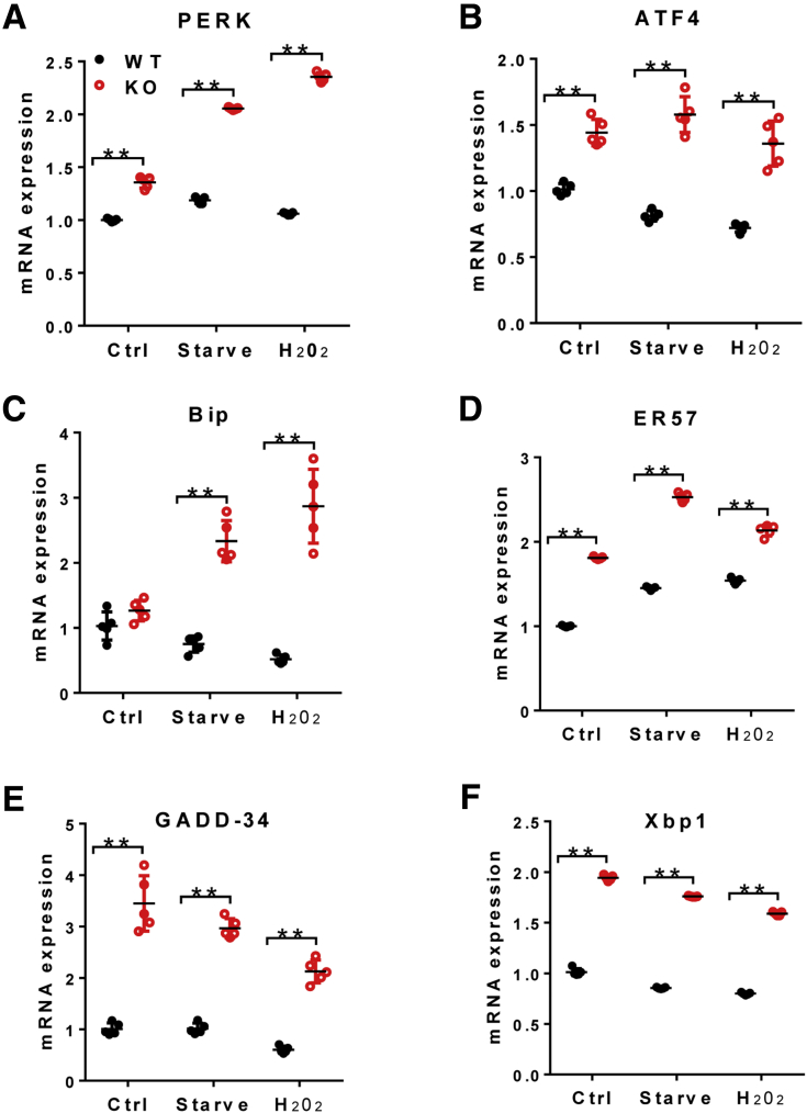 Figure 10