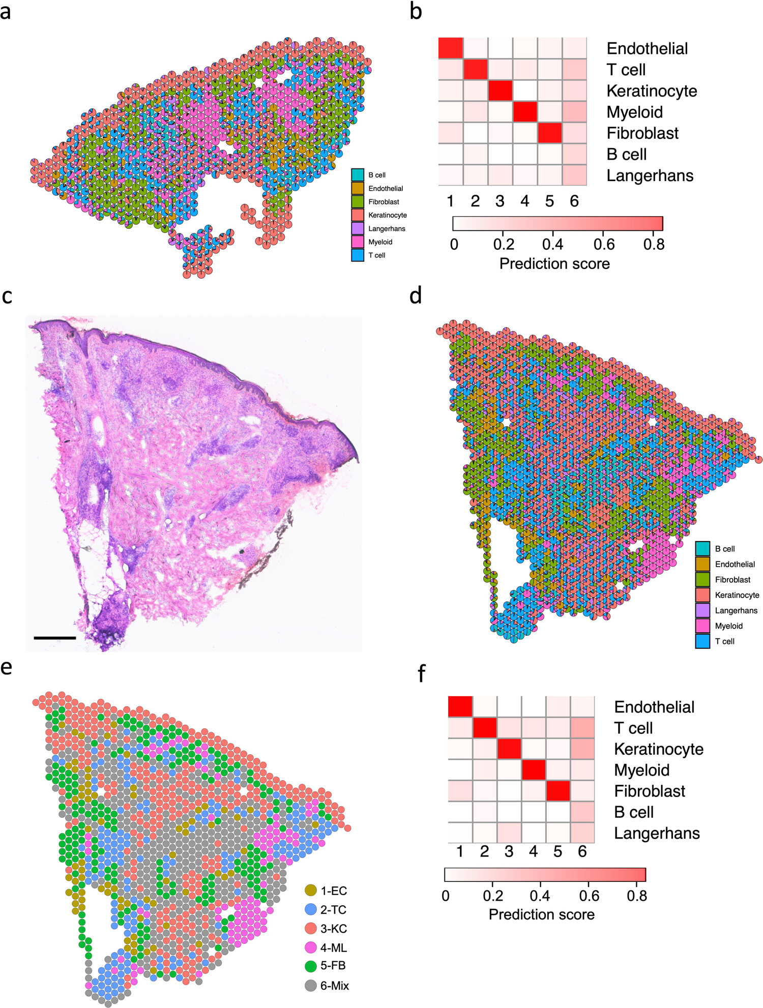 Extended Data Fig. 6