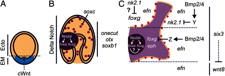 Fig. 5.