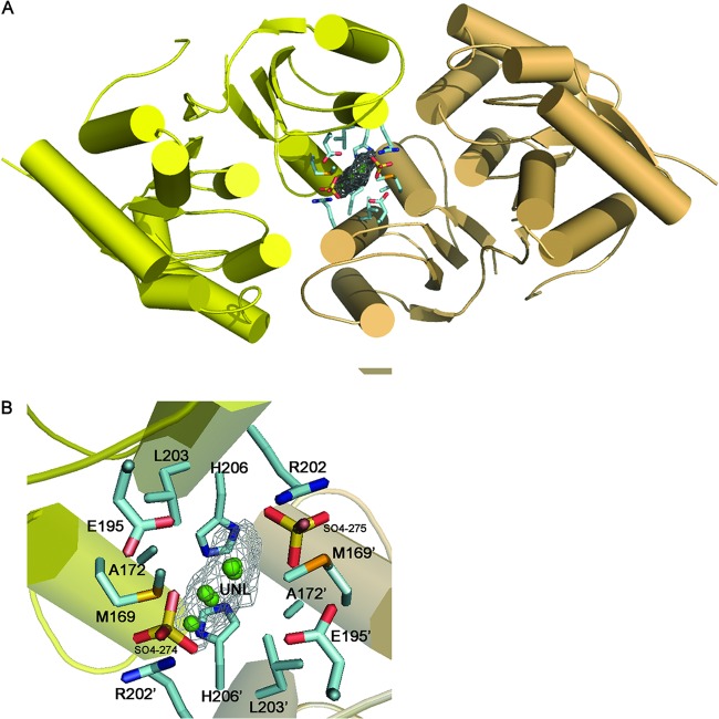 Fig 6