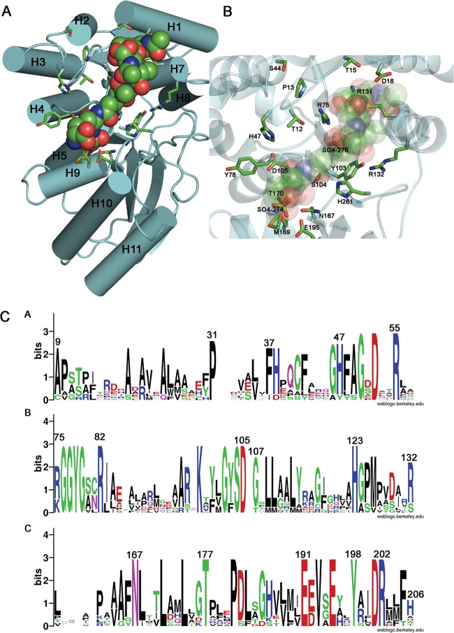 Fig 4