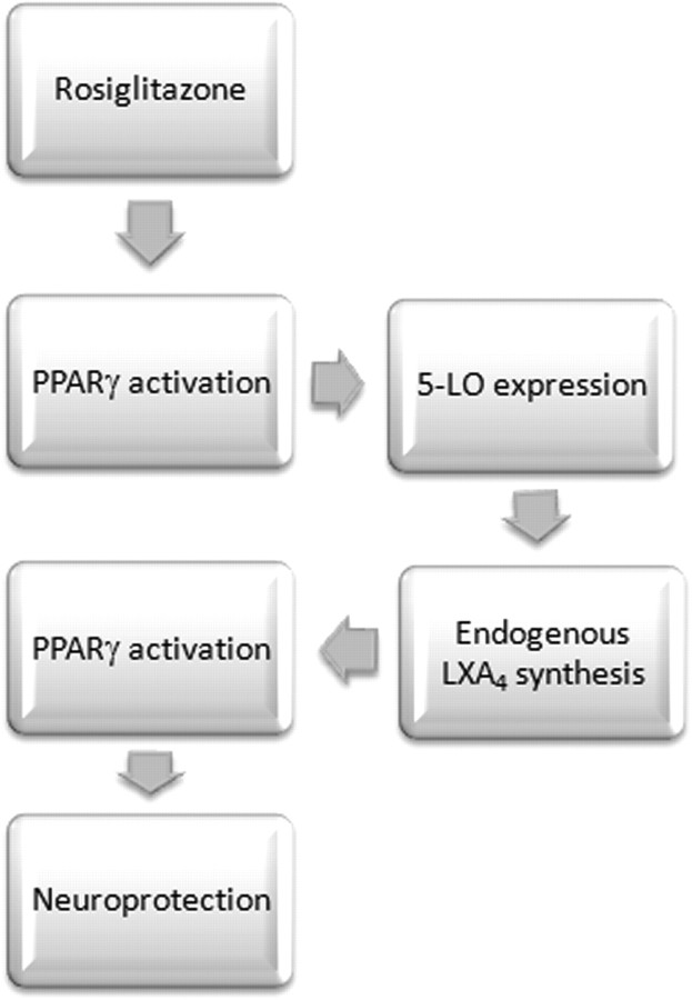 Figure 9.