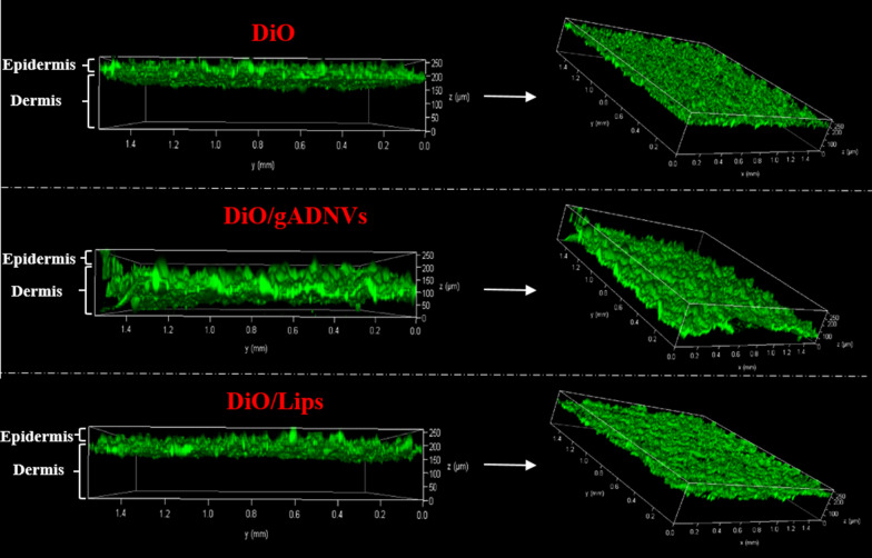 Fig. 7