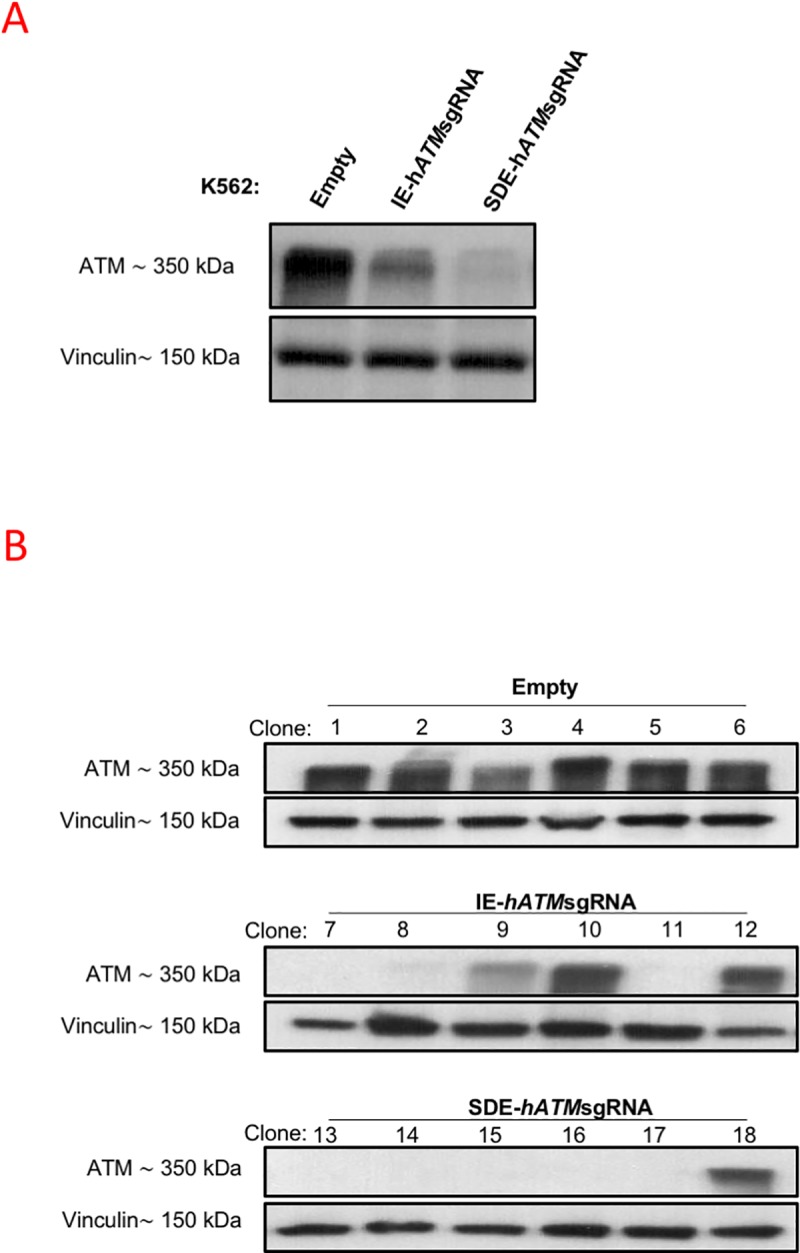 Fig 5