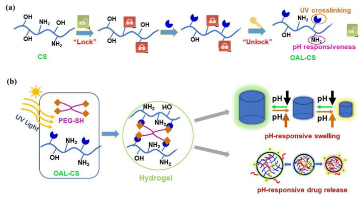 Figure 20