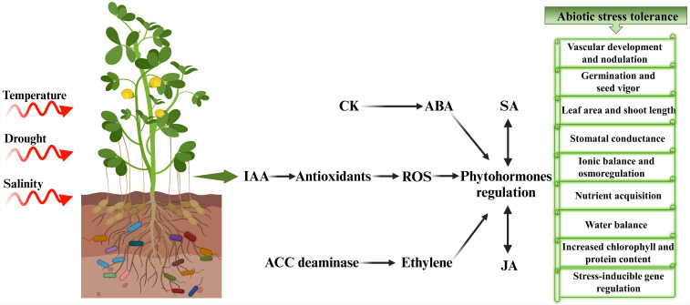 Figure 3