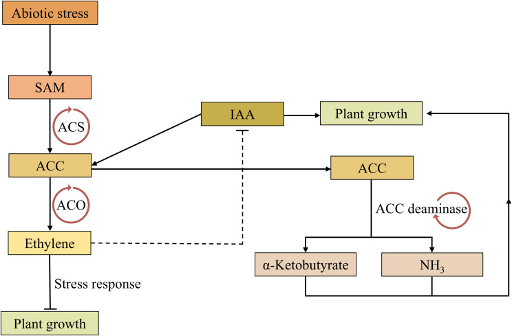 Figure 4