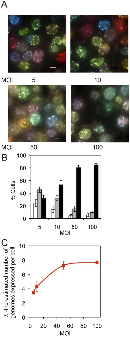 FIG 3 