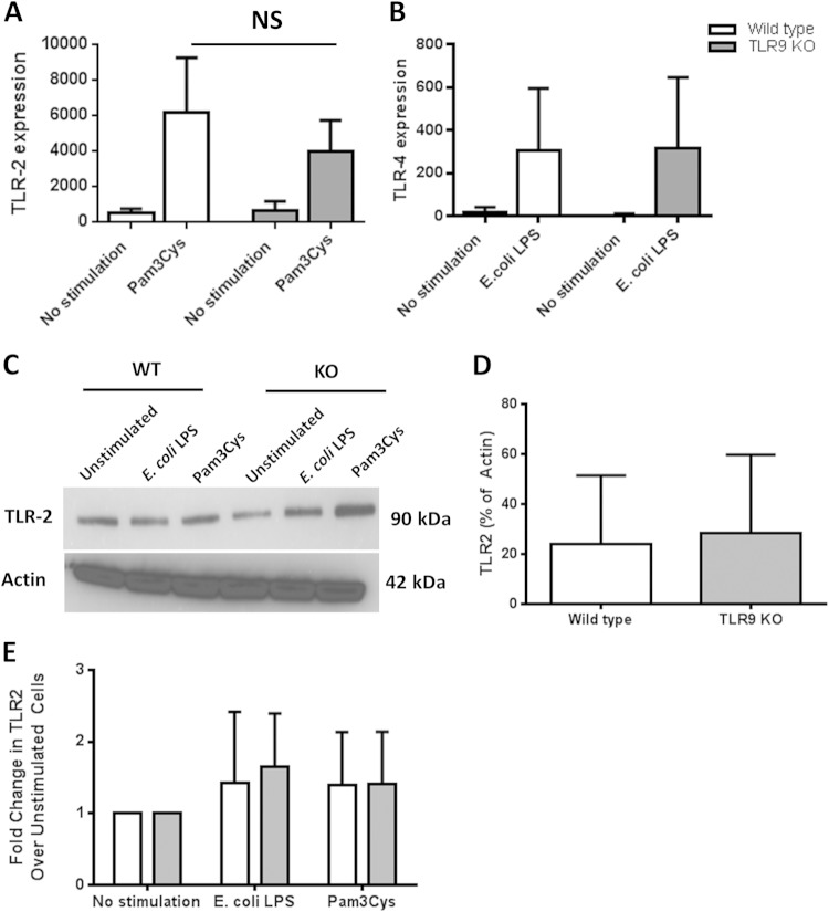 FIG 6