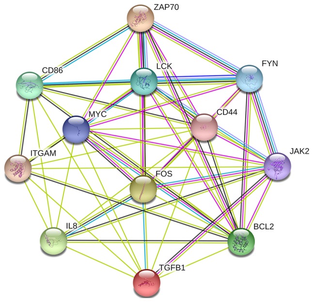 Figure 5.