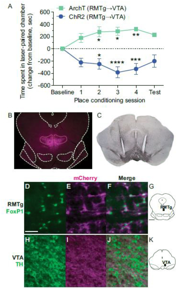 Fig. 14.