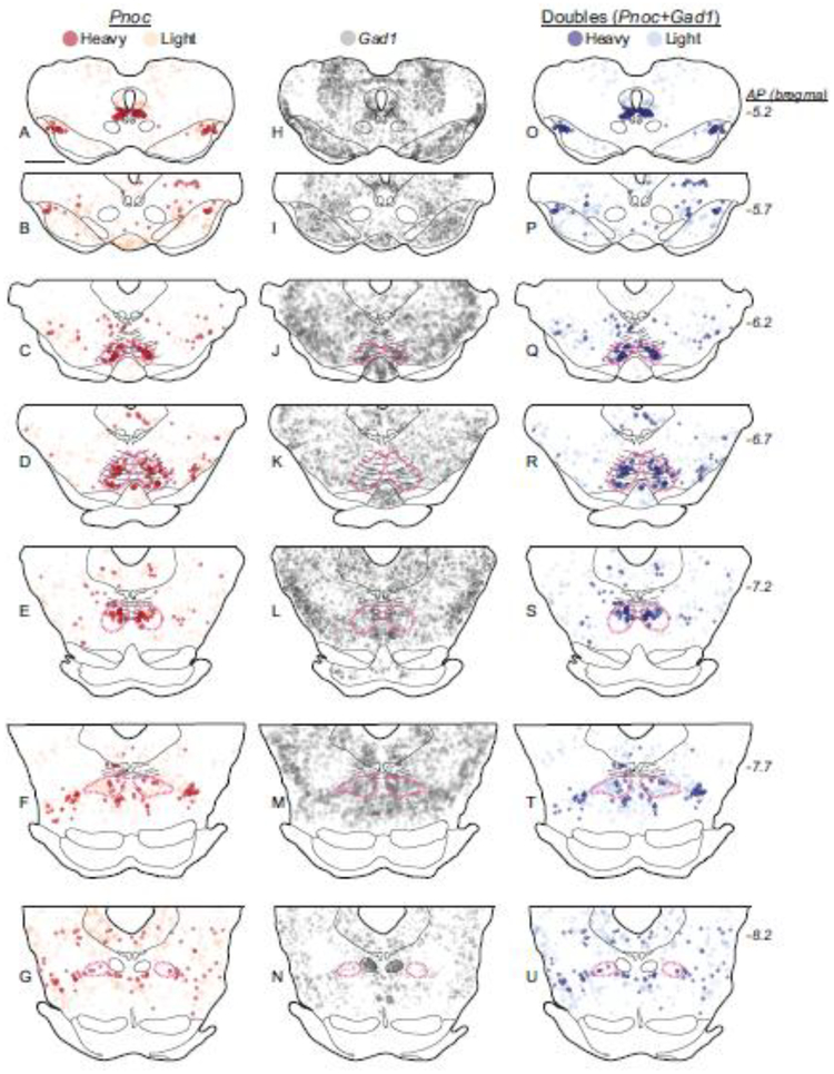 Fig. 8.