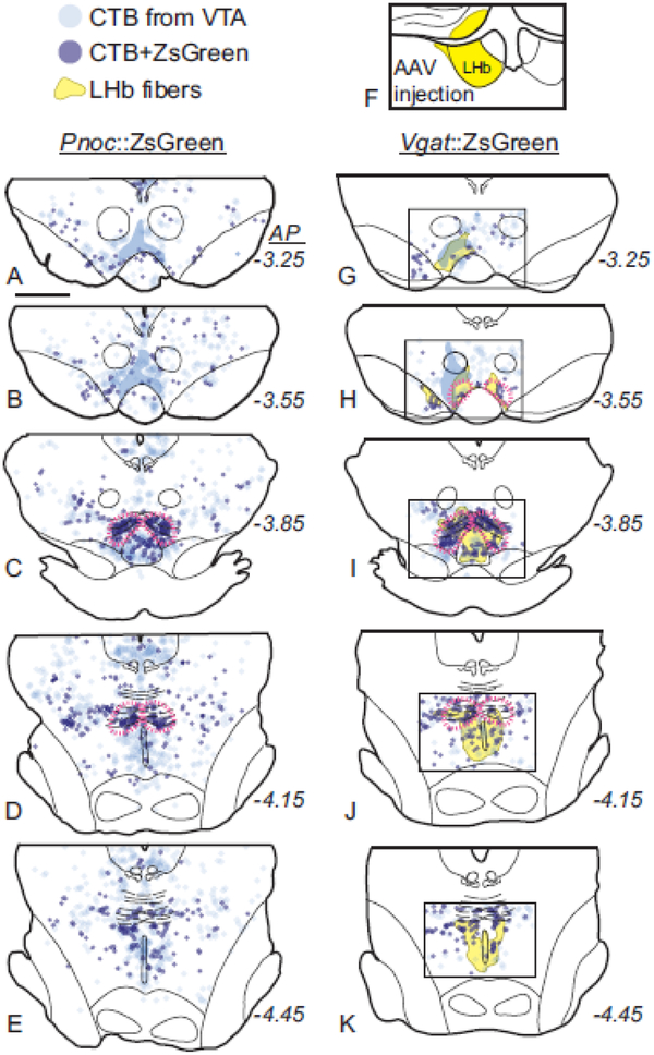 Fig. 13.