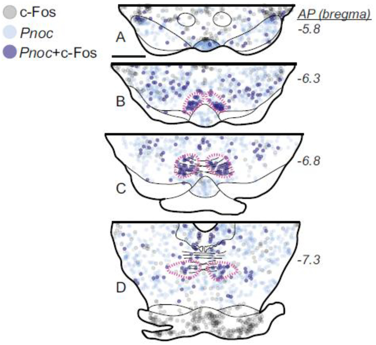 Fig. 9.