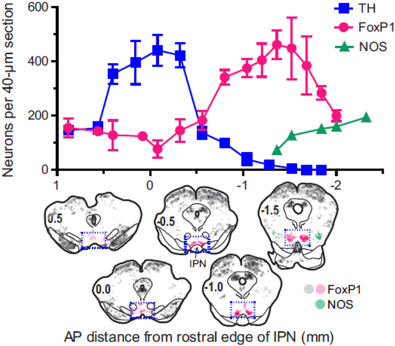 Fig. 2.