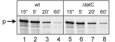 FIG. 6