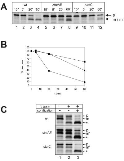 FIG. 5