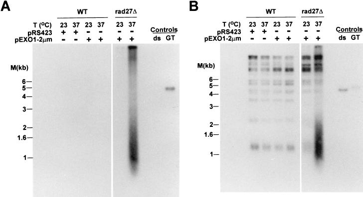 FIG. 8