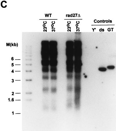 FIG. 5