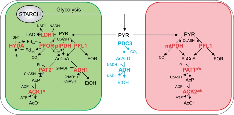 Fig. 9