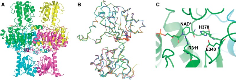 Fig. 2