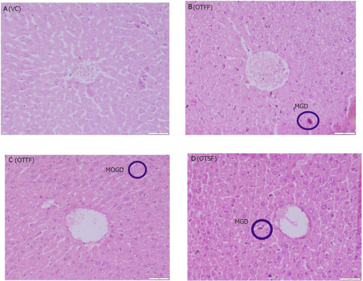 Fig. 4