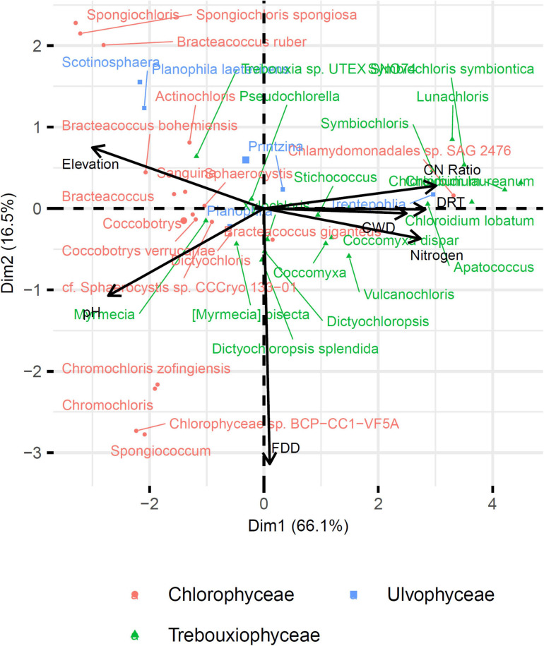 FIGURE 10