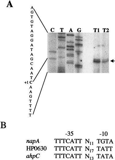 FIG. 4.