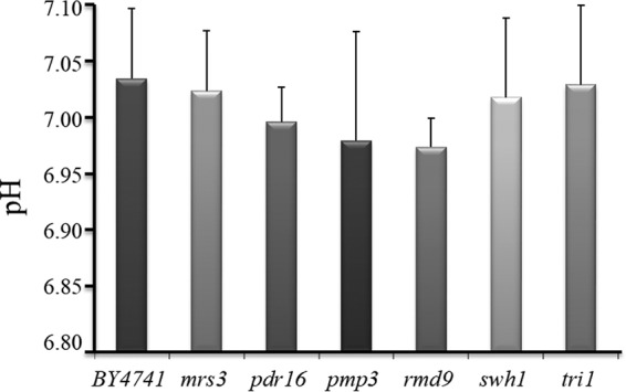 FIG 4