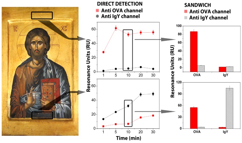 Figure 12