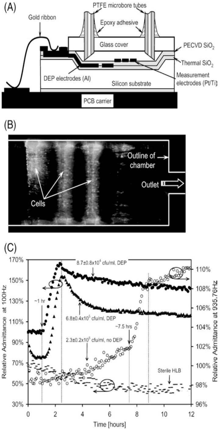 Figure 10