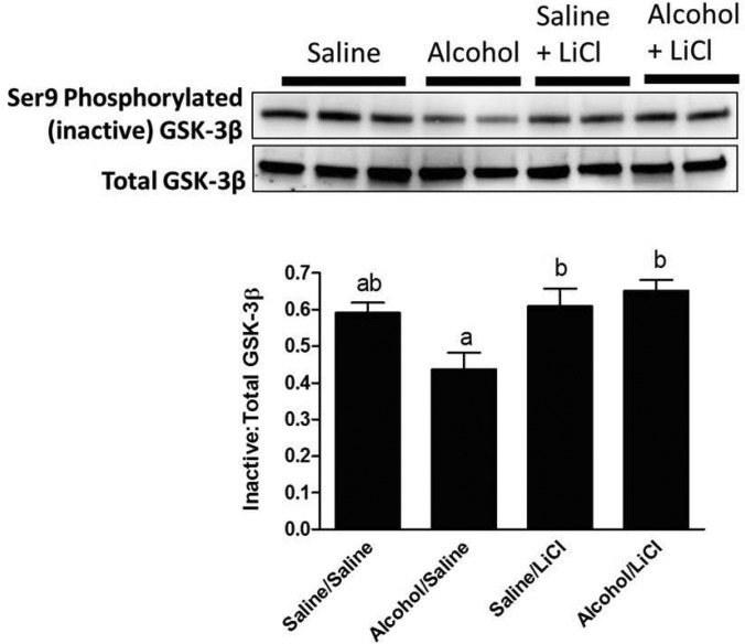 Fig. 8.