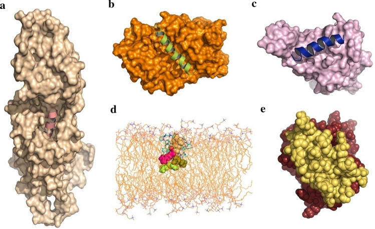 Fig. 15