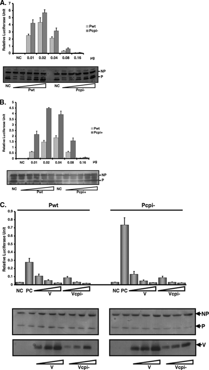 FIG. 2.