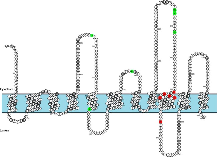 FIGURE 6.