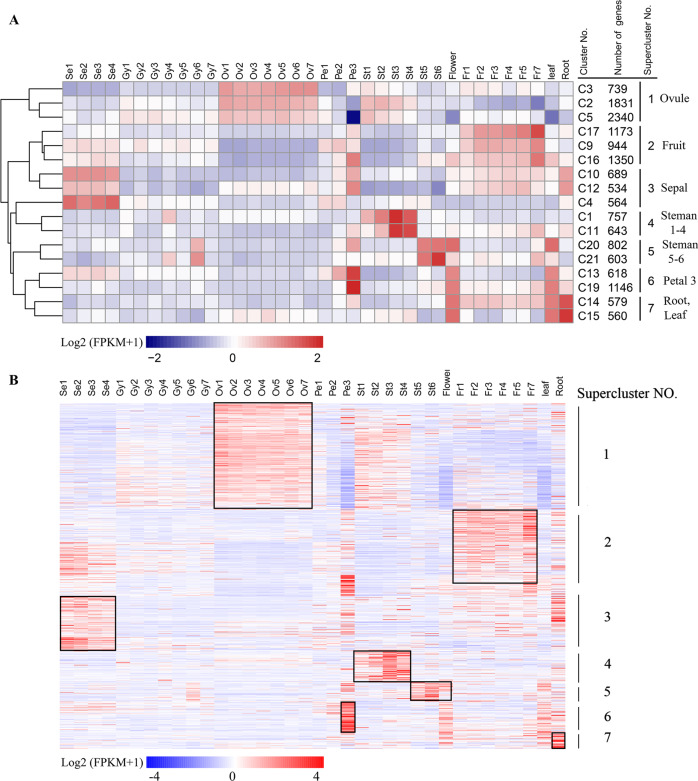 Fig. 4