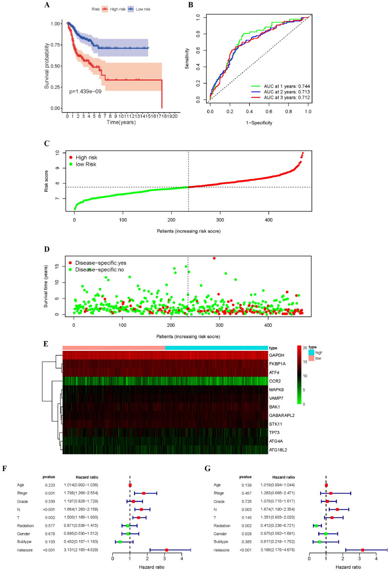 Fig 11