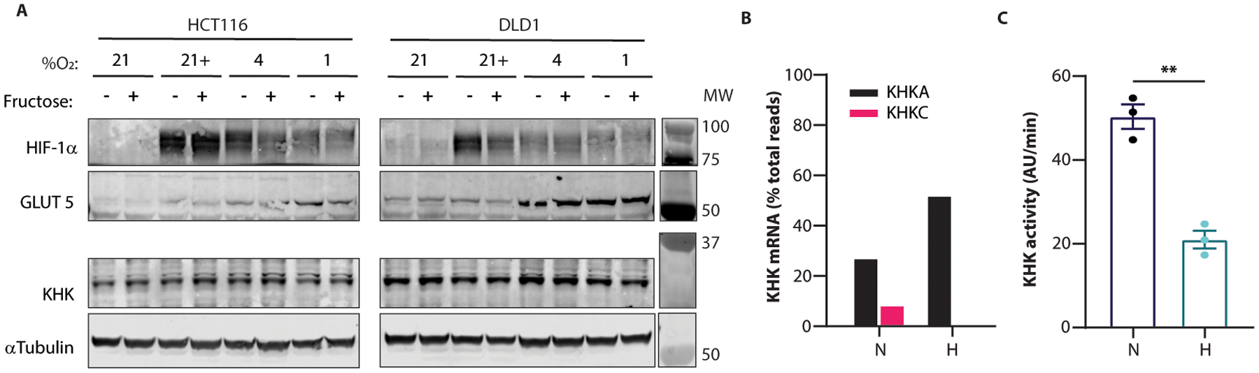 Extended Data Fig. 5.