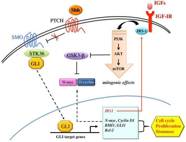 Figure 5