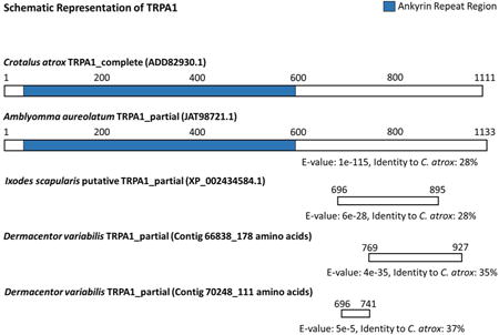 graphic file with name nihms887305u2.jpg