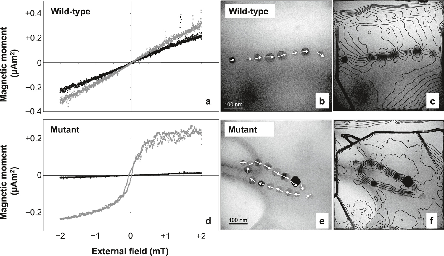 Figure 6.