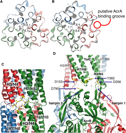 Figure 2