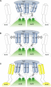 Figure 3