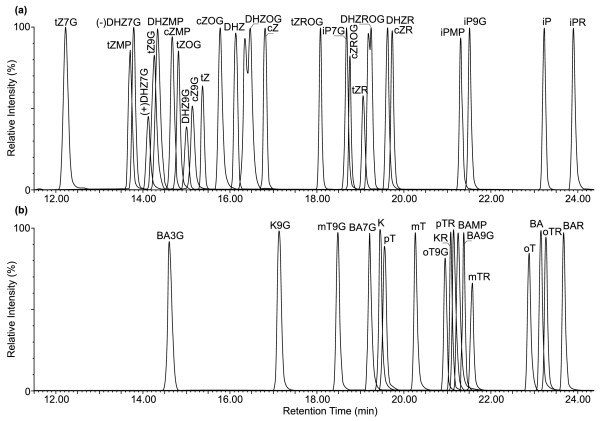 Figure 4 