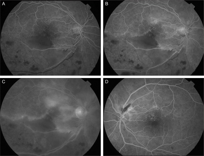 Fig. 3