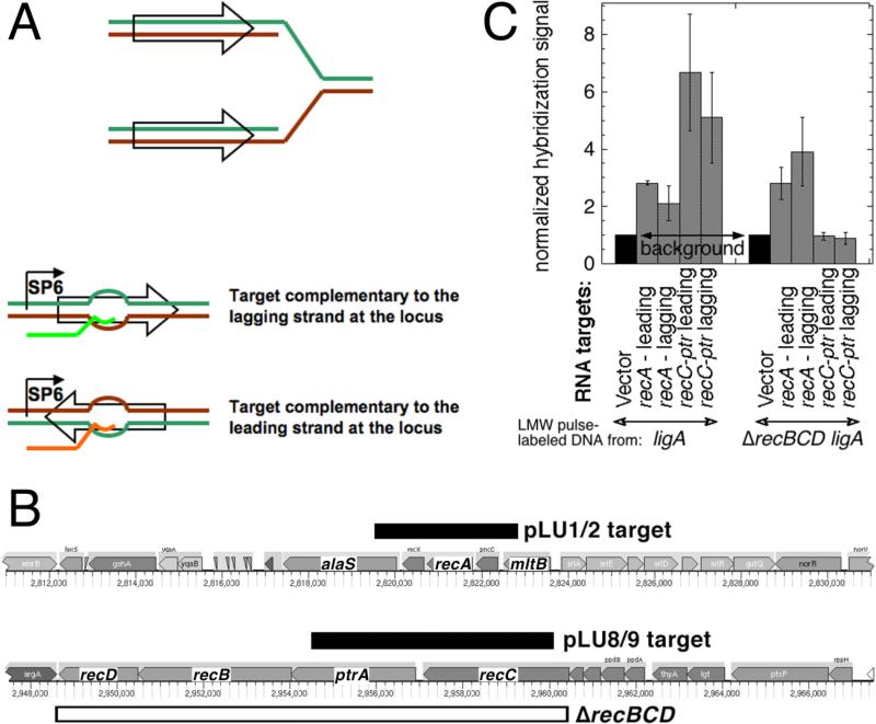 Fig. 4