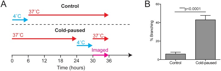 Fig 7