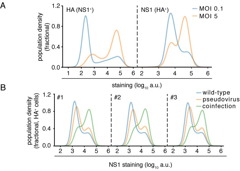 Figure 4—figure supplement 5.