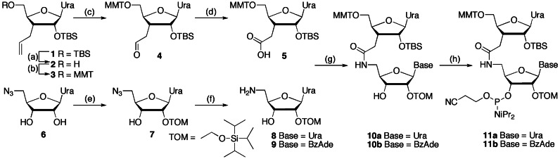 Scheme 1.